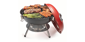 Outdoor portable oven