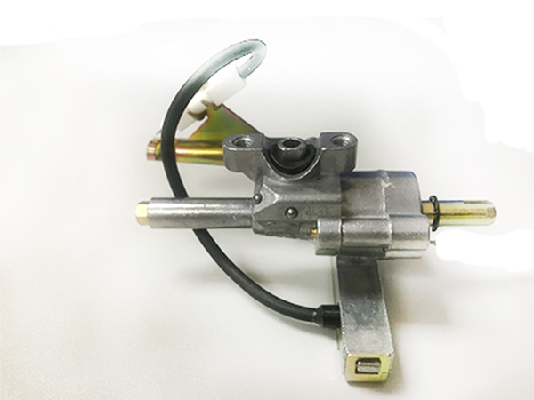 Dual fuel valve
